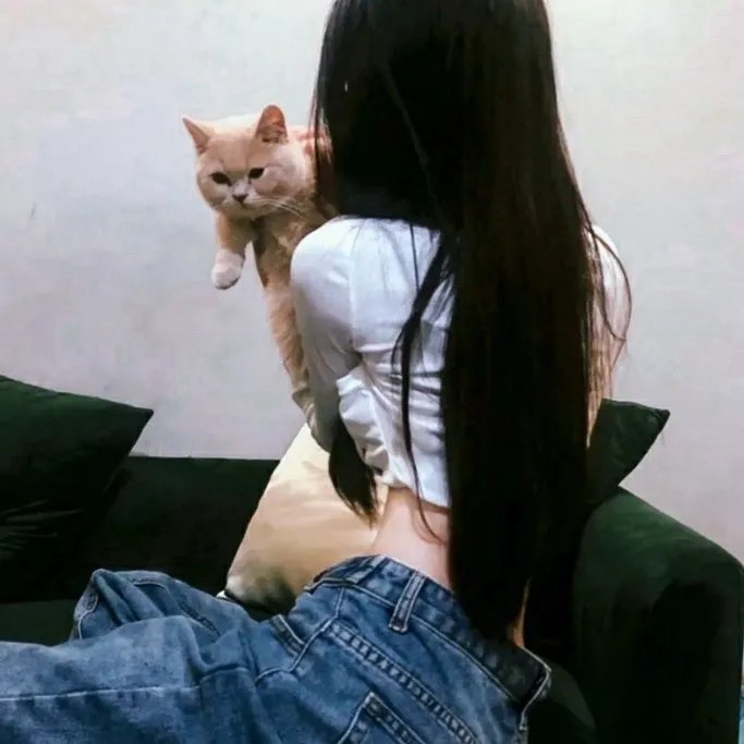 青春梦里人